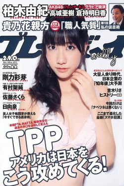 花非花电视剧